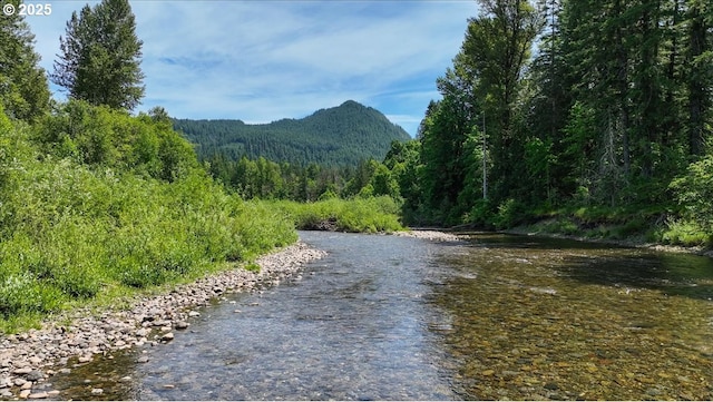 662 Cannavina Rd, Carson, WA 98610 - water view featuring a heavily wooded area and a mountainous background