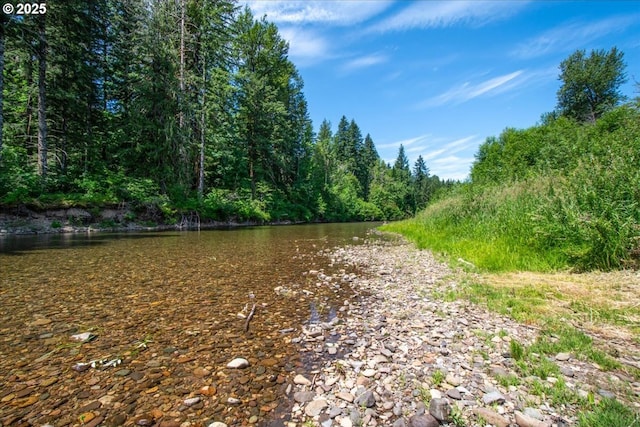 662 Cannavina Rd, Carson, WA 98610 - water view featuring a forest