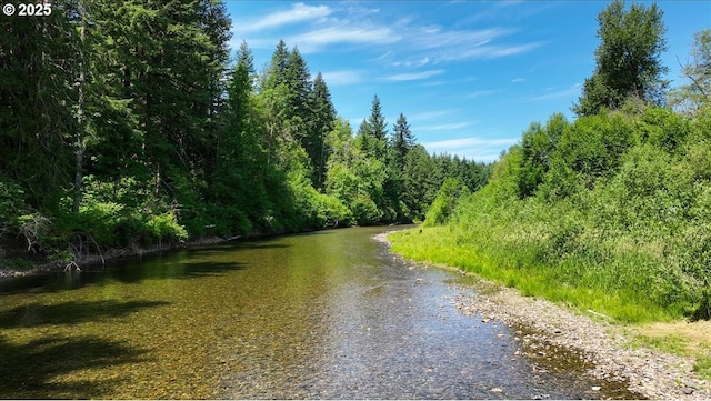 662 Cannavina Rd, Carson, WA 98610 - water view featuring a forest
