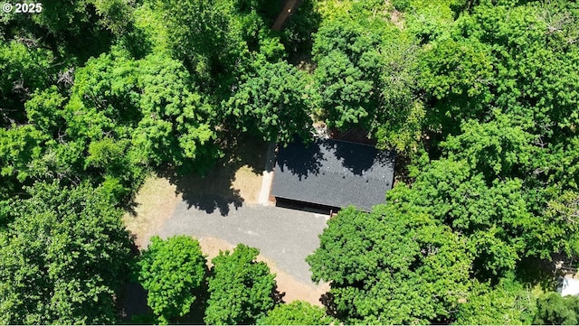 662 Cannavina Rd, Carson, WA 98610 - aerial view of property's location