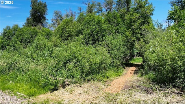 662 Cannavina Rd, Carson, WA 98610 - view of woods