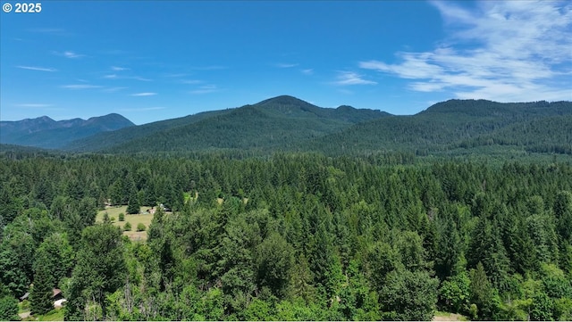 662 Cannavina Rd, Carson, WA 98610 - mountain view with a forest