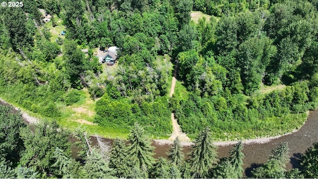 662 Cannavina Rd, Carson, WA 98610 - drone / aerial view