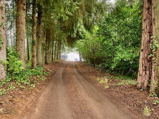 view of road featuring dirt driveway