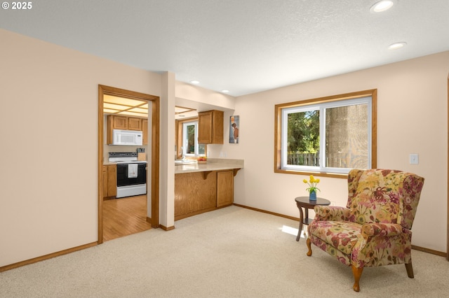21456 SW 90th Ct, Tualatin, OR 97062 - living area featuring light carpet, baseboards, and recessed lighting