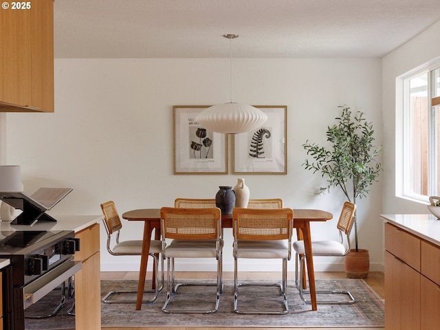 dining area with baseboards and wood finished floors