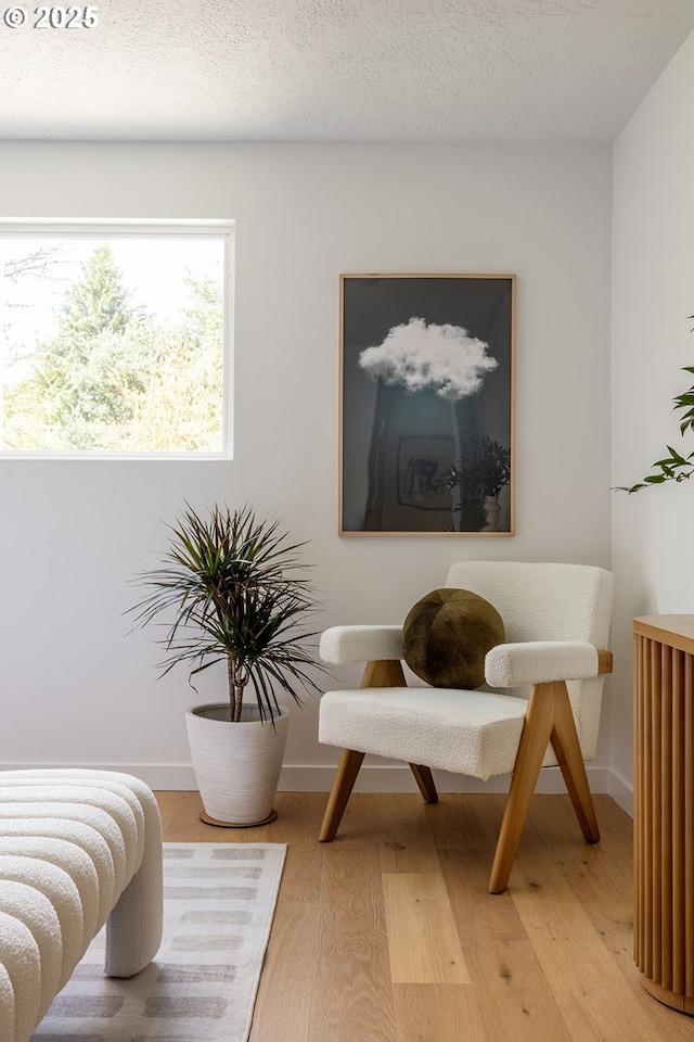 sitting room with light wood-style floors and baseboards