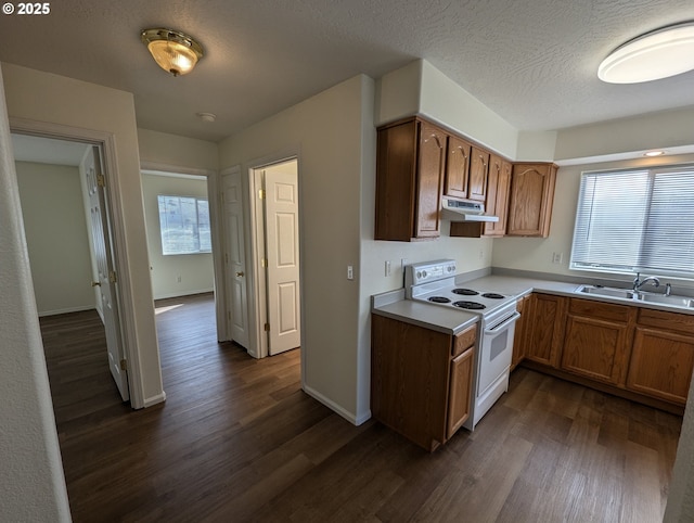 kitchen with dark wood-type flooring, a sink, white electric stove, and range hood