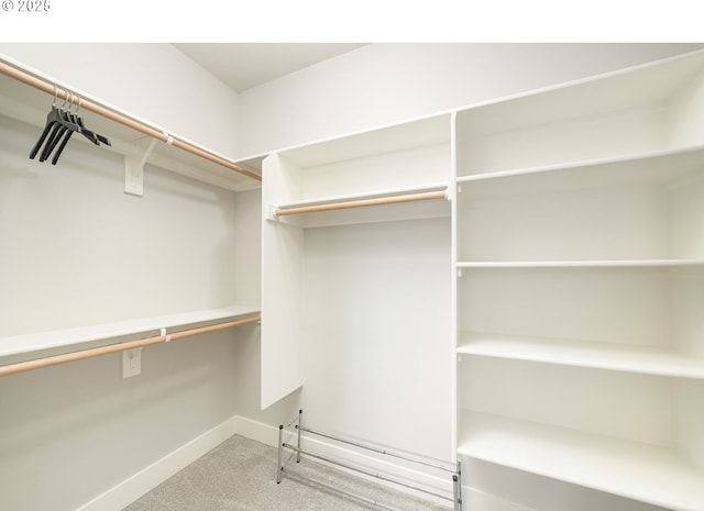 walk in closet with carpet floors