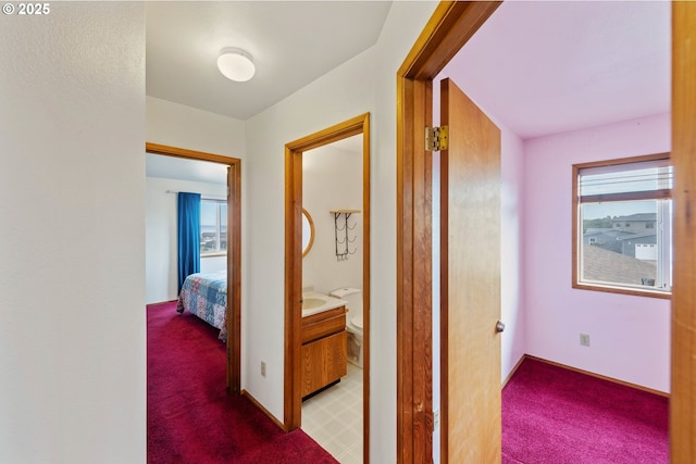 corridor with carpet, baseboards, and a wealth of natural light