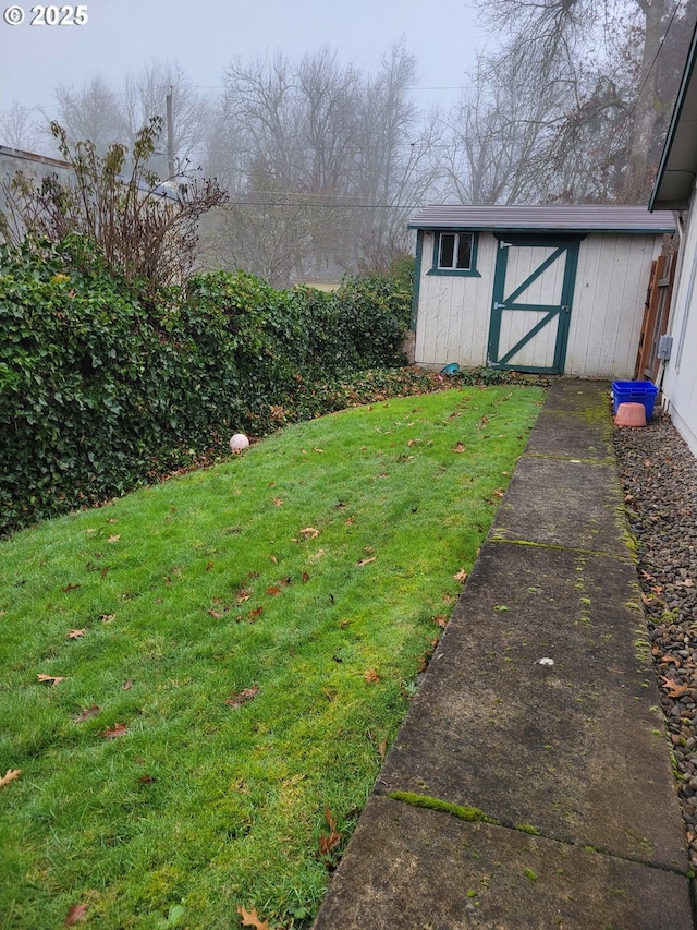 view of yard with a storage unit