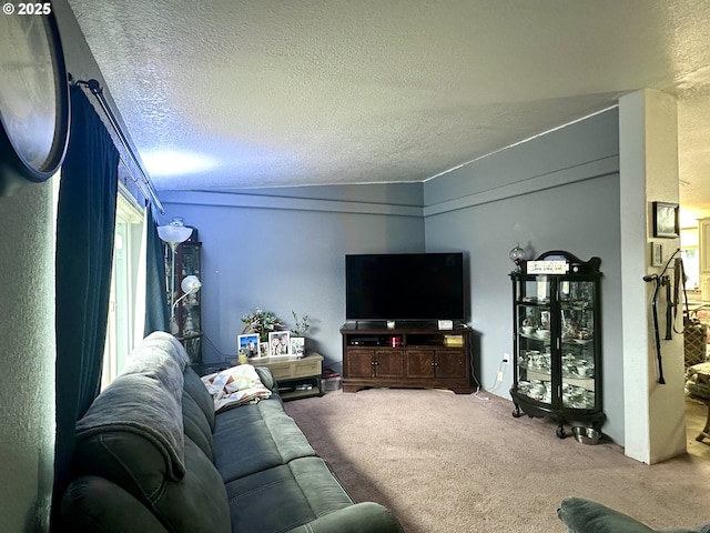 5510 E St, Springfield, OR 97478 - living area with carpet and a textured ceiling
