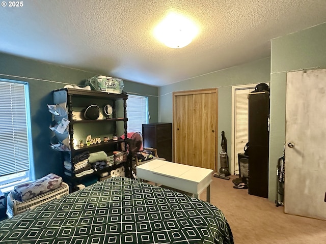 5510 E St, Springfield, OR 97478 - bedroom with carpet, multiple closets, a textured ceiling, vaulted ceiling, and multiple windows