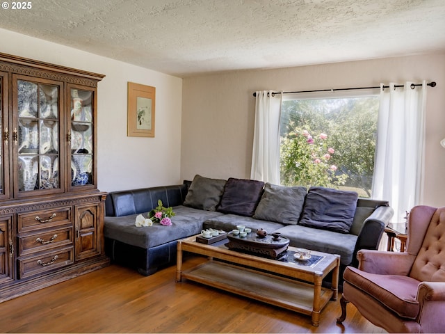 living room with wood-type flooring and a textured ceiling