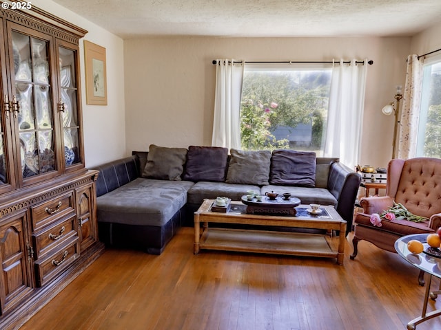 living room featuring wood-type flooring, a healthy amount of sunlight, and a textured ceiling