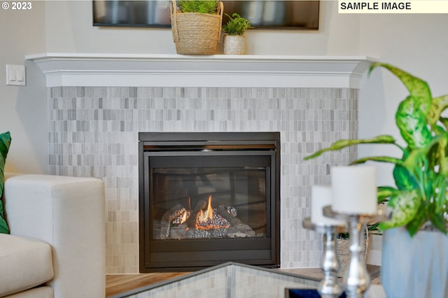 8809 S 3rd St Unit 35, Ridgefield, WA 98642 - detailed view of a glass covered fireplace
