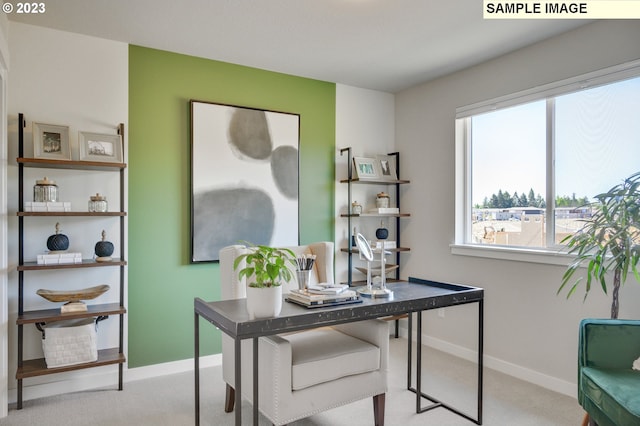 8809 S 3rd St Unit 35, Ridgefield, WA 98642 - office with carpet floors and baseboards