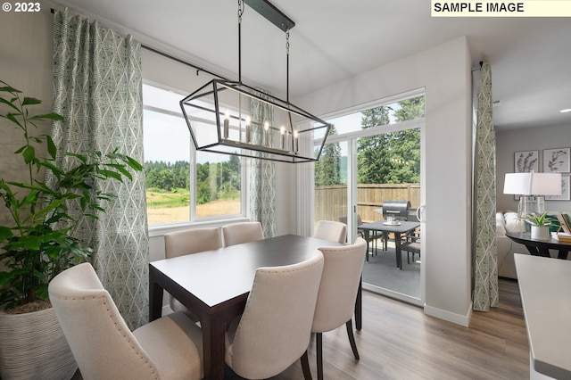 8809 S 3rd St Unit 35, Ridgefield, WA 98642 - dining area with plenty of natural light, wood finished floors, and a chandelier
