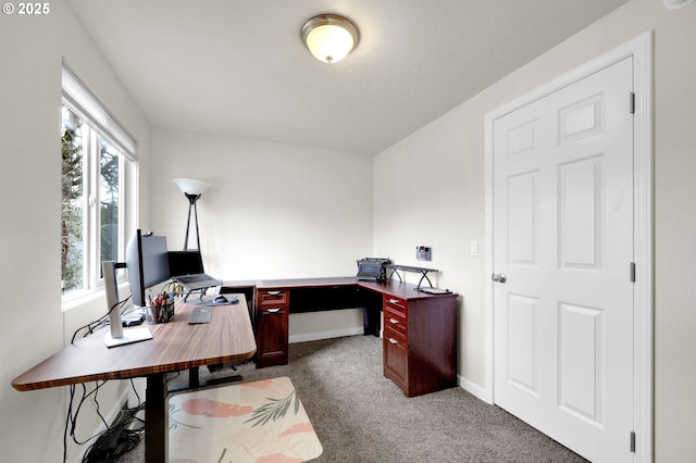 carpeted office space with baseboards