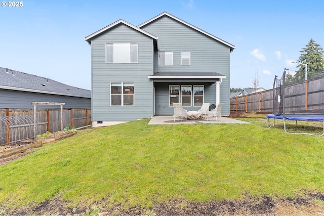 back of property with a lawn, a trampoline, and a patio area