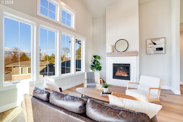 living room with light hardwood / wood-style flooring