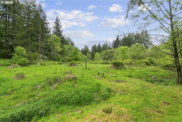 14216 NE 346th St, Battle Ground, WA 98604 - view of woods