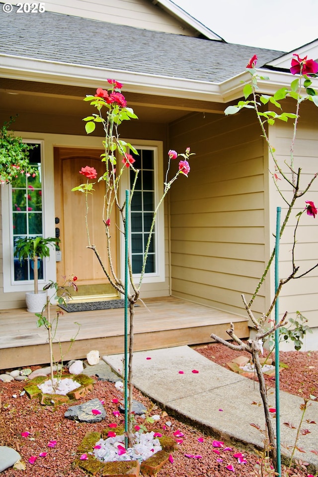 property entrance with roof with shingles