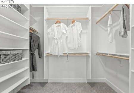 spacious closet featuring carpet floors