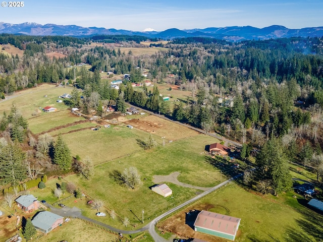 drone / aerial view featuring a mountain view