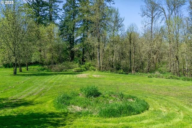 1433 SE 49th Ct, Hillsboro, OR 97123 - view of yard with fence