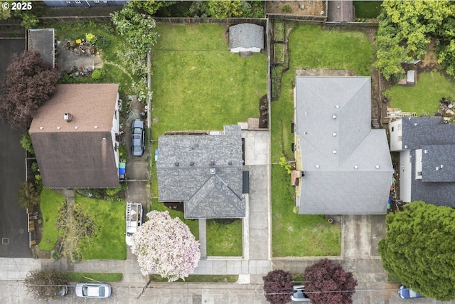 bird's eye view