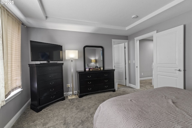 14818 NE 23rd Ave, Vancouver, WA 98686 - bedroom with carpet and a tray ceiling