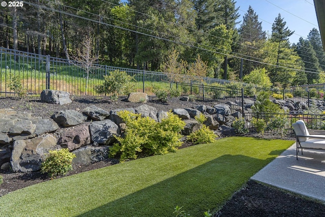 view of yard featuring fence private yard and a patio area