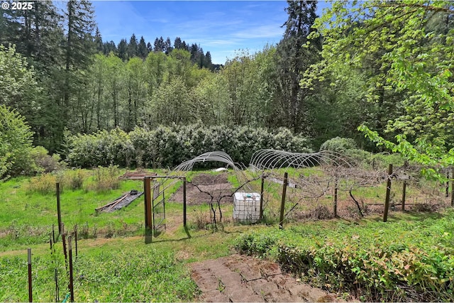 view of yard with a forest view