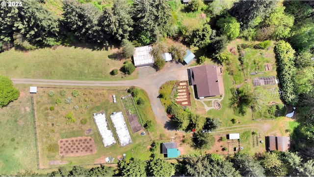 drone / aerial view