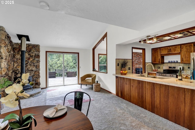 interior space with appliances with stainless steel finishes, a sink, a wood stove, carpet, and decorative backsplash