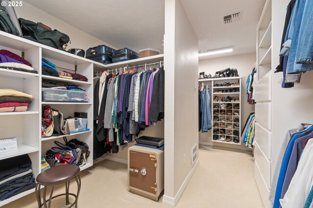 27023 Petzold Rd, Eugene, OR 97402 - spacious closet with carpet