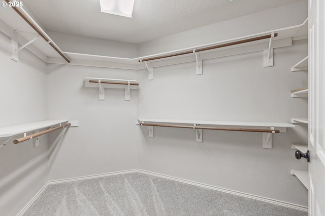 walk in closet with carpet flooring