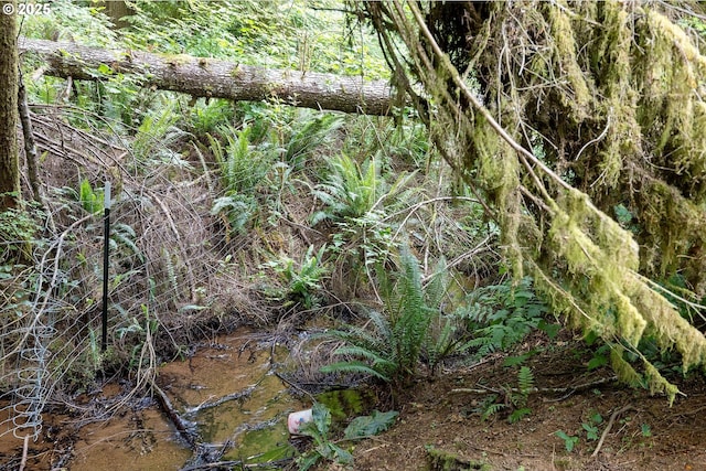 4347 S Schooner Creek Rd, Lincoln City, OR 97367 - view of nature