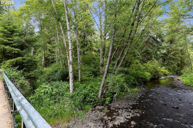 4347 S Schooner Creek Rd, Lincoln City, OR 97367 - view of local wilderness