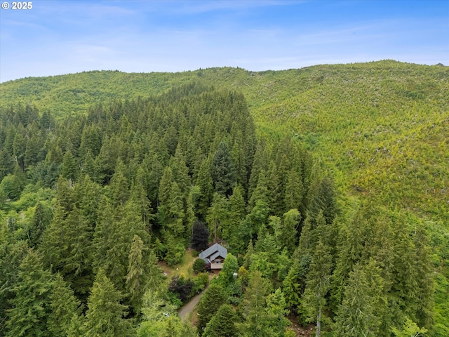4347 S Schooner Creek Rd, Lincoln City, OR 97367 - aerial view of a forest and mountains