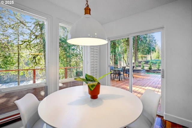 dining room featuring a healthy amount of sunlight and wood finished floors