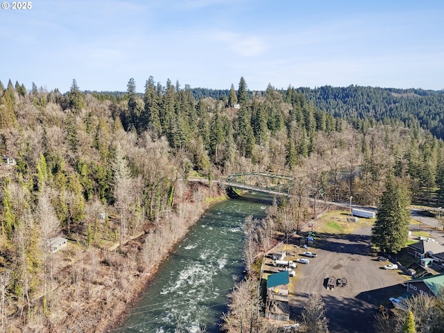 bird's eye view featuring a water view and a forest view