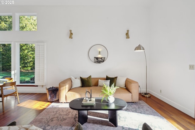 living area featuring a high ceiling, baseboards, and wood finished floors