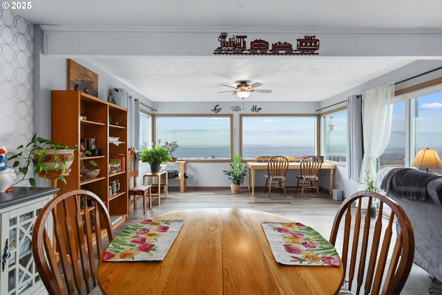 dining area with a water view, ceiling fan, and light hardwood / wood-style flooring