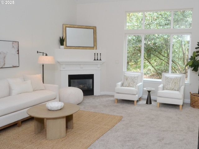 living area featuring a glass covered fireplace and carpet