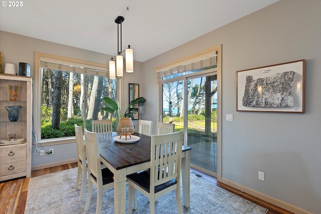 dining space with wood finished floors, baseboards, and a wealth of natural light