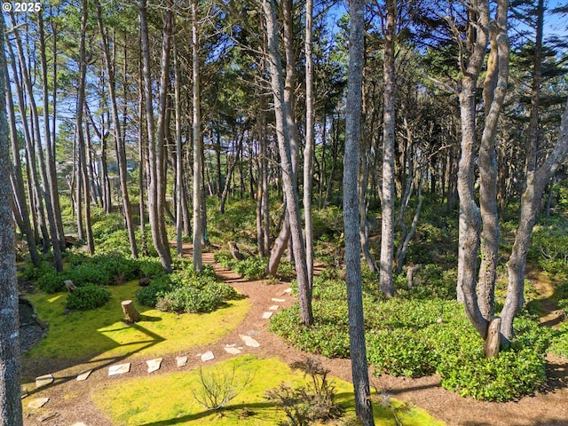 view of property's community