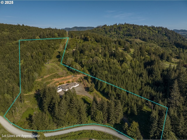 aerial overview of property's location with a forest, a mountainous background, and property parcel outlined