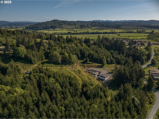 aerial overview of property's location with a mountain backdrop and a heavily wooded area